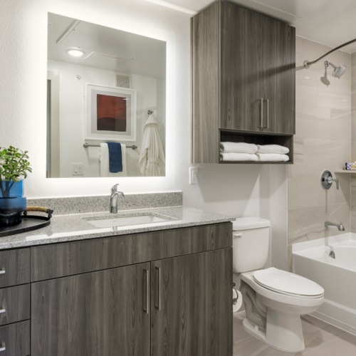 Bathroom with vanity and shower/tub combo